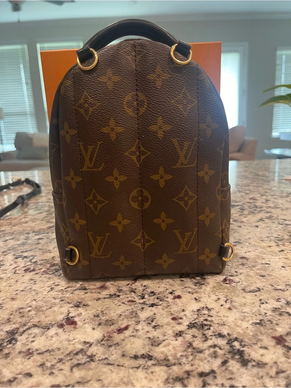 Louis Vuitton Monogram Mini Backpack in Brown and Gold